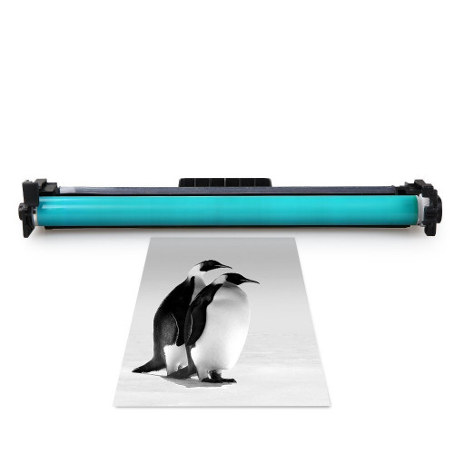 INK E-SALE New Compatible HP CF219A 19A Black Drum Unit Black 1 Pack