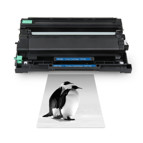 INK E-SALE Compatible DR730 Laser Drum Unit for Brother, High Yield